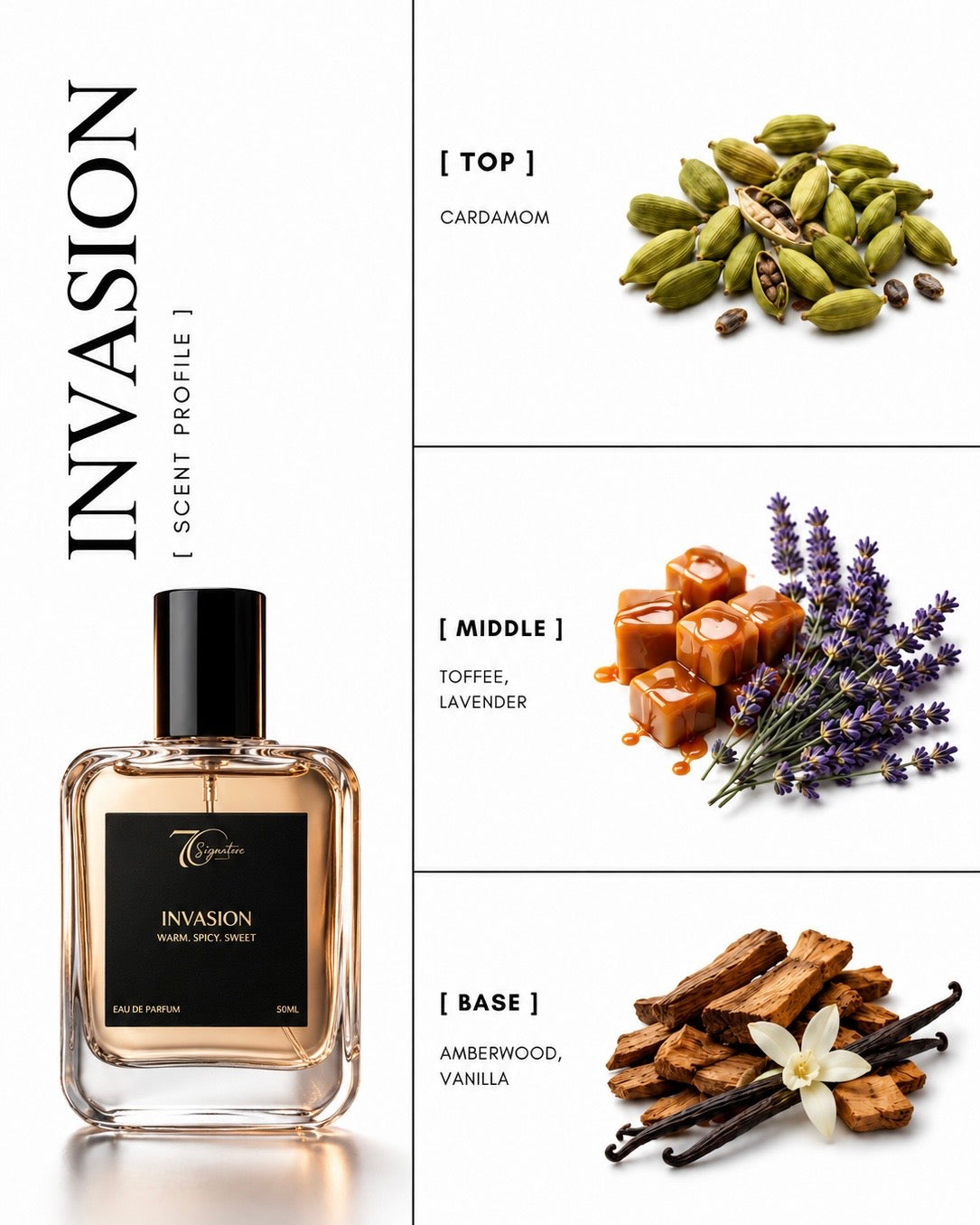 Invasion by 7C | Inspired by The Azzaro Most Wanted | FREE 8ml Travel Spray + 2ml Sample