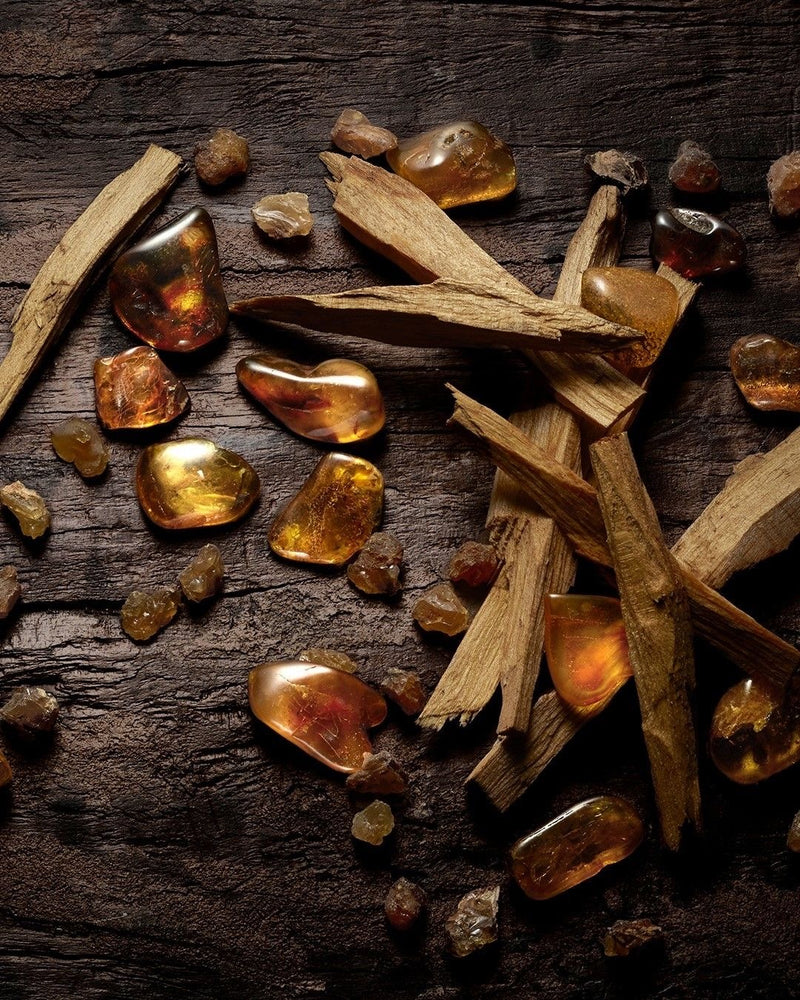 Amberwood + Vetiver